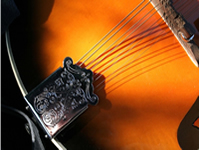 Mandolin